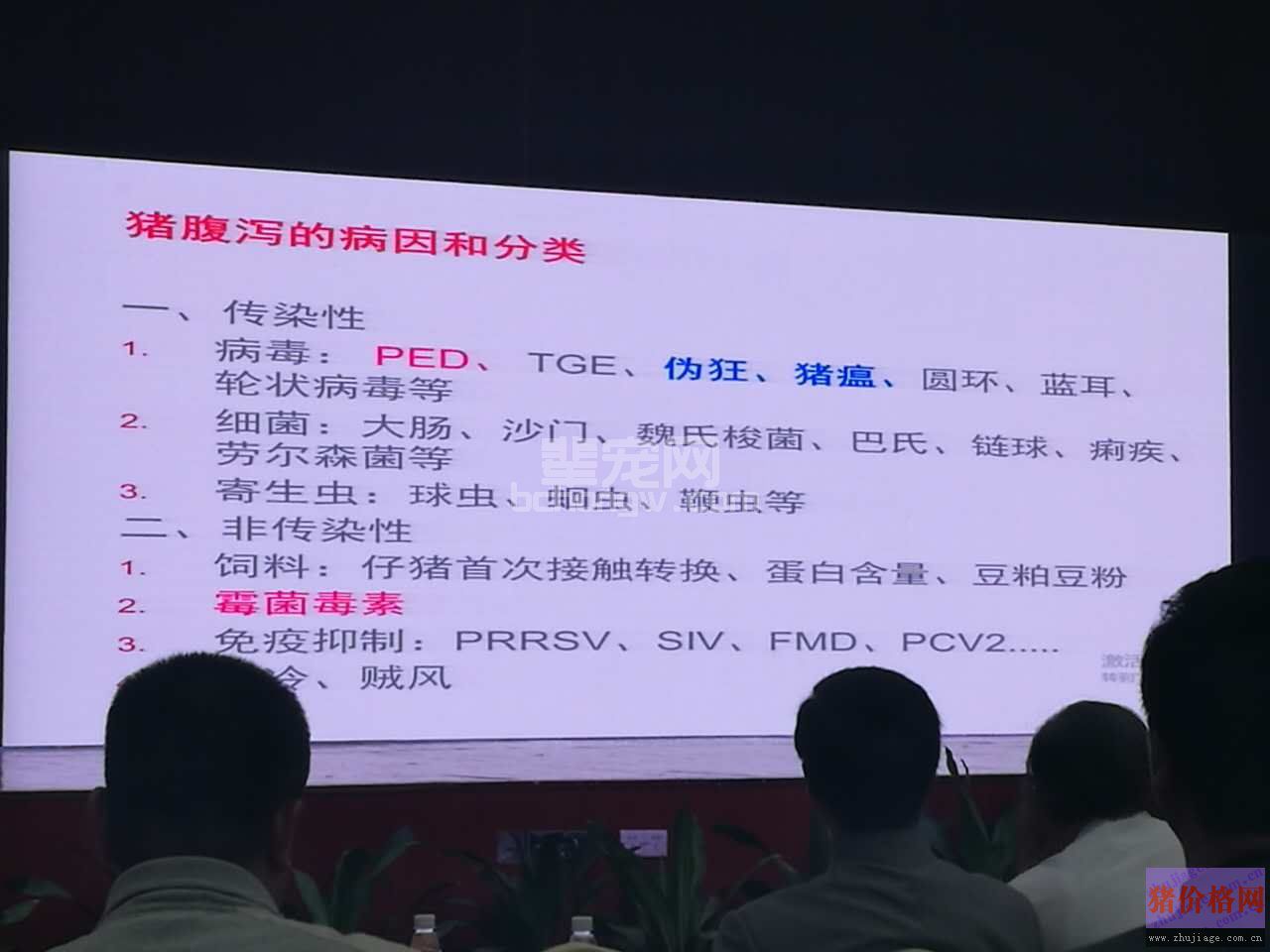 贺东生：规模化养猪场疫病防控的顶层设计与实践