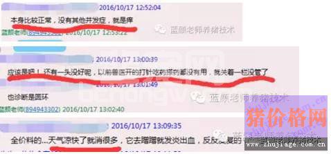 老颜教你辨别皮肤病和圆环病毒病