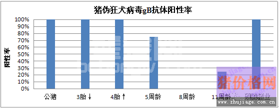 广东某猪场一例爆发型猪伪狂犬病的诊断分析