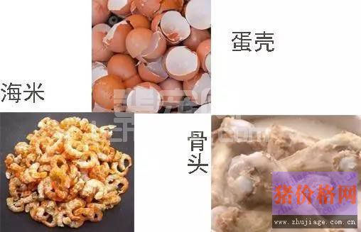 母猪产后易缺钙，教你用省钱有效的土方法解决！