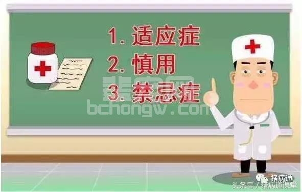 猪腹式呼吸（气喘）治疗棘手易反弹，轻松搞定并不难