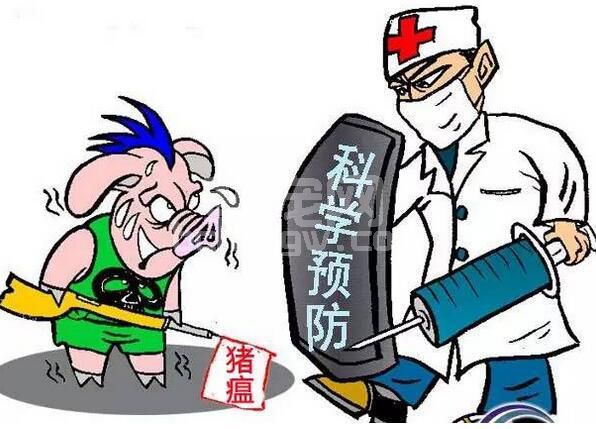 冬季猪场口蹄疫疾病的防控与治疗