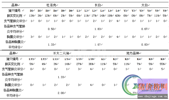猪支气管肺炎与胸膜炎的屠宰场病变评估分析