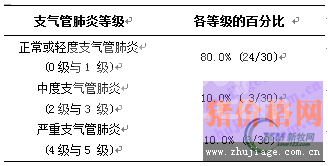 猪支气管肺炎与胸膜炎的屠宰场病变评估分析