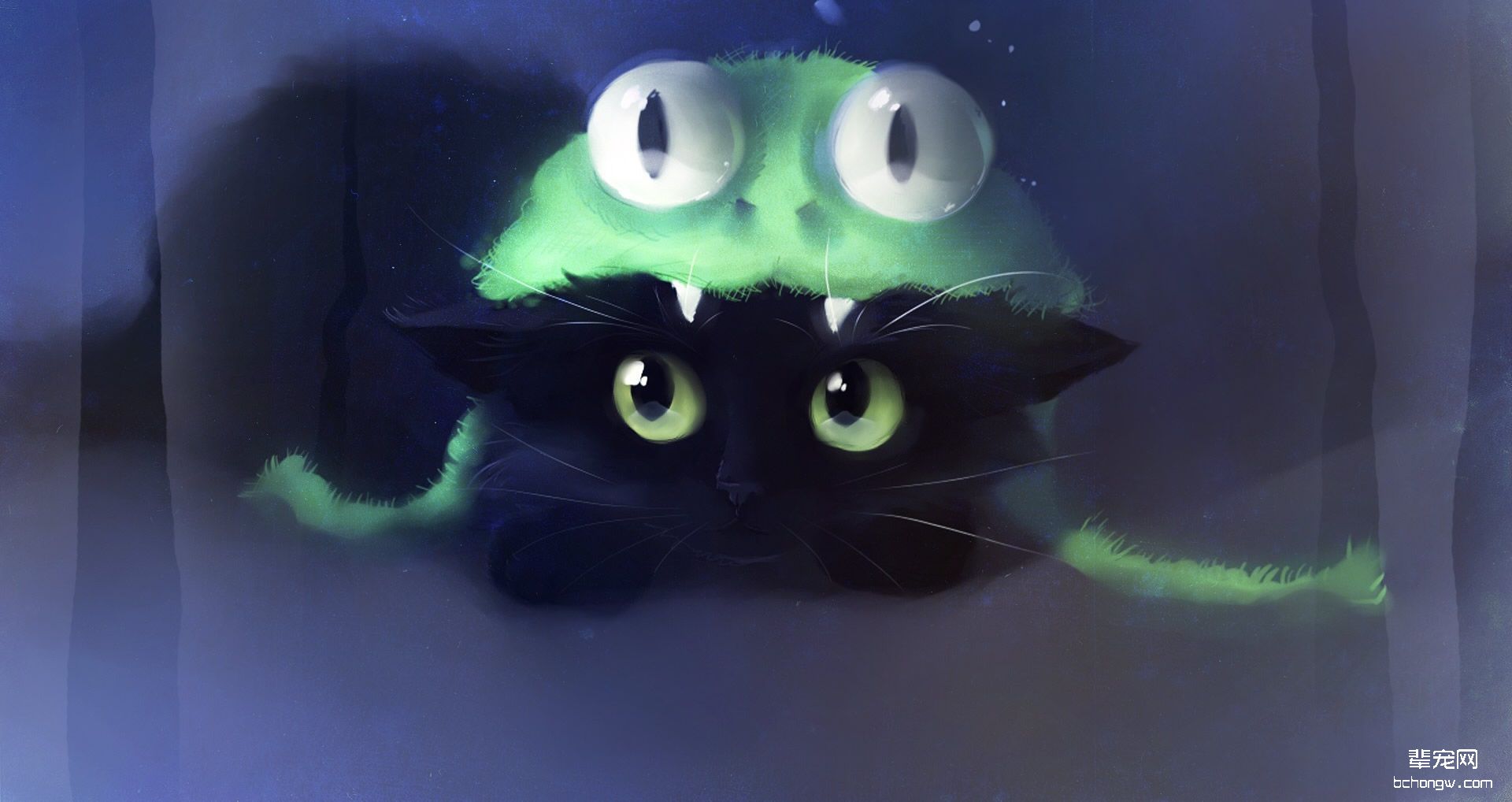 萌猫高清壁纸第2张图片