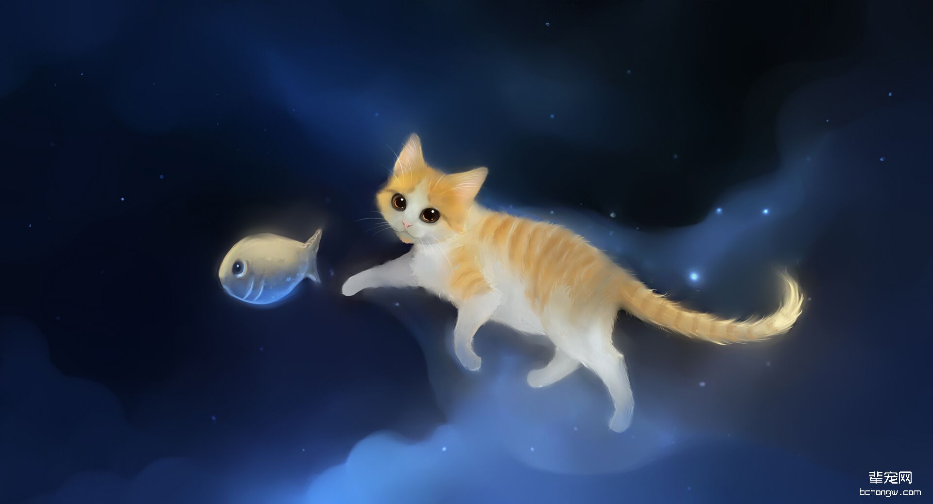萌猫高清壁纸第7张图片