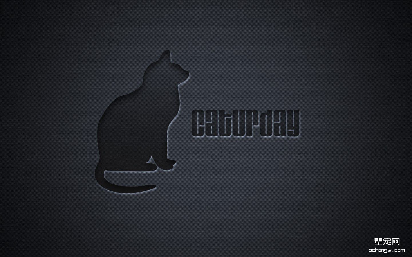 可爱猫咪壁纸桌面第3张图片