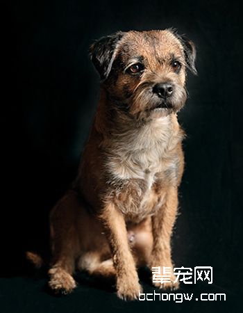 边境梗