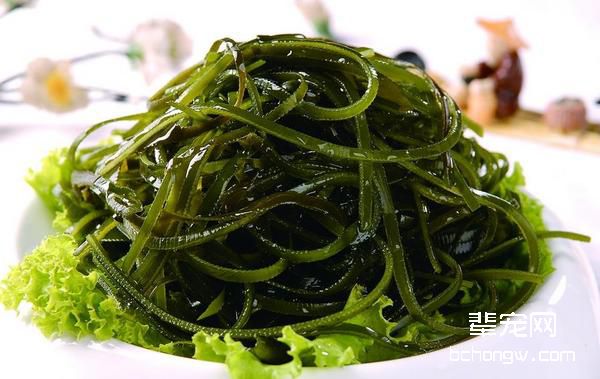 狗狗能吃海带吗，要怎么喂？狗狗吃海带有什么好处