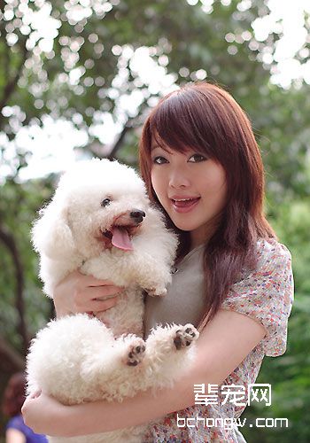 帮狗狗美容也是一门学问