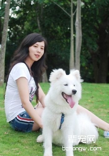 狗狗洗毛剂的选择技巧