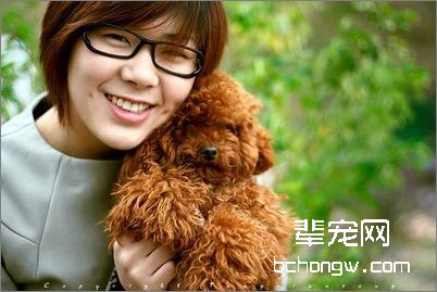 在家里给狗狗美容