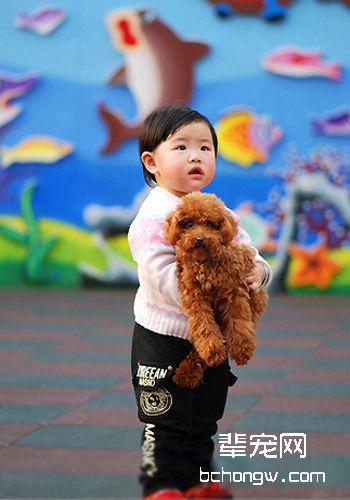 健康卫士：狗狗体臭面面观