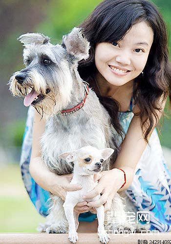 狗秃毛或掉毛该怎么办？