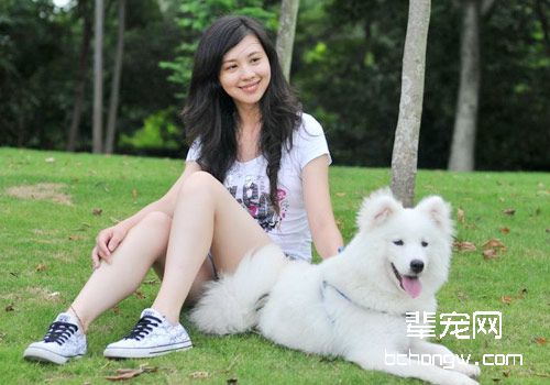 狗狗美容易疏忽的5个地方