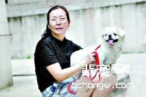 训狗要从幼时做起