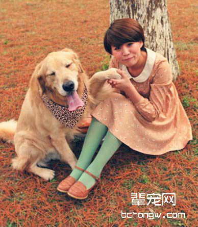 上班族如何让犬安静在家？