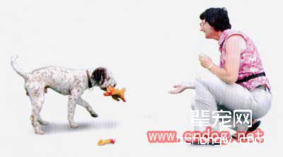 训狗找出最大东西的方法