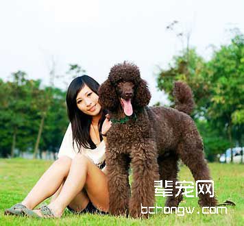 怎样训狗对小孩和善?
