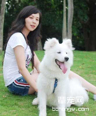训狗一般要几个阶段?