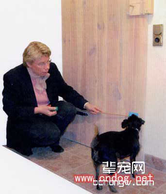 让狗狗关门的训练