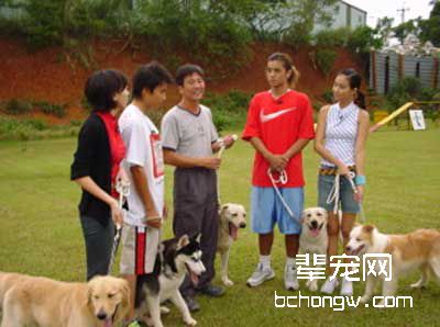 人们训狗的目的是什么?