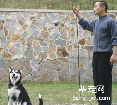 奖惩的训狗方法怎样用?