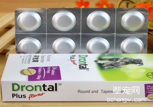 小狗驱虫药怎么定期喂？