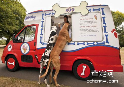 夏天又要到了，狗狗能吃冰淇淋么？
