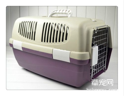 选择狗狗航空箱的时候要注意哪些