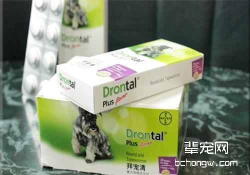 狗狗吃了驱虫药后的三种常见反应