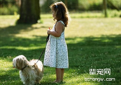 如何正确选择狗狗牵引绳