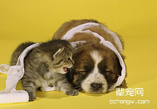 什么时候需要做生化检查