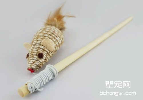 逗猫棒的使用技巧