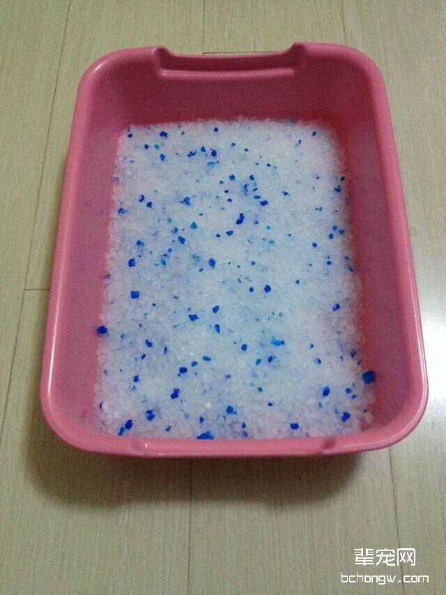 如何教导猫咪使用猫砂盆