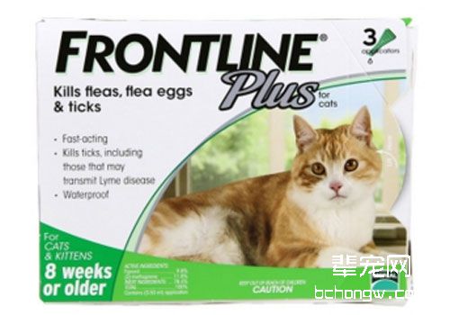 福来恩猫用滴剂的使用及注意事项