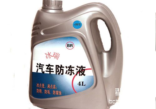 秋冬季节，谨防猫咪防冻液中毒