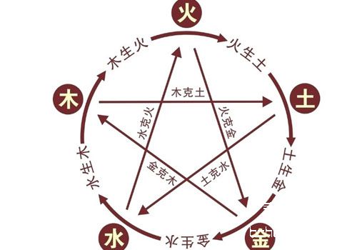 从五行学说看猫咪疾病