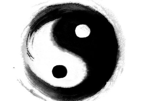 从阴阳学说看猫咪疾病