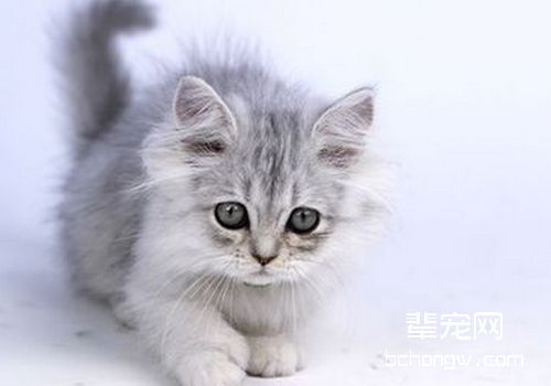 形成尿崩症的原因有哪些