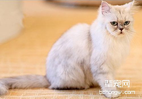 如何诊断及治疗尿崩症