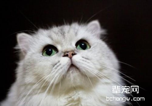 尿崩症的症状有哪些