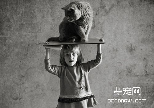 猫咪呕吐原因及治疗方法
