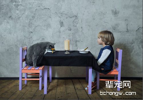 猫咪身上长小疙瘩什么原因