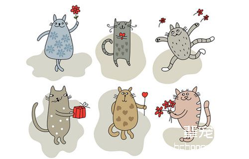 猫咪如何“恋爱结婚生子”