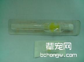 有关犬猫狗留置针的若干问题