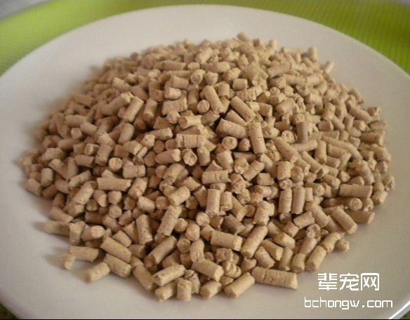 猫砂选择不对会影响猫咪健康