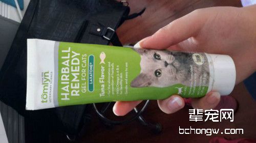 猫咪使用化毛膏需要注意什么