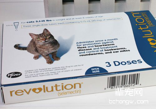 猫咪能用大宠爱吗？