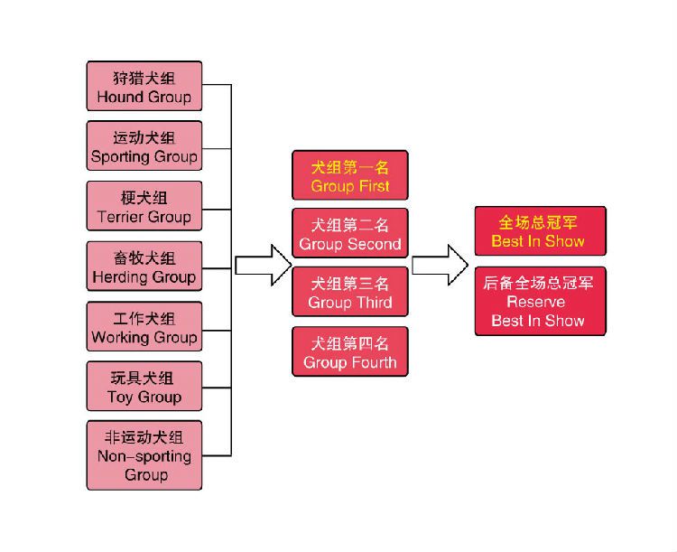 一篇成为繁殖者必学知识帖